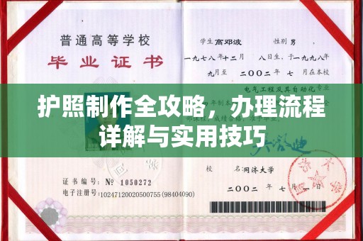 白沙护照制作全攻略，办理流程详解与实用技巧