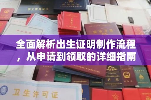 白沙全面解析出生证明制作流程，从申请到领取的详细指南
