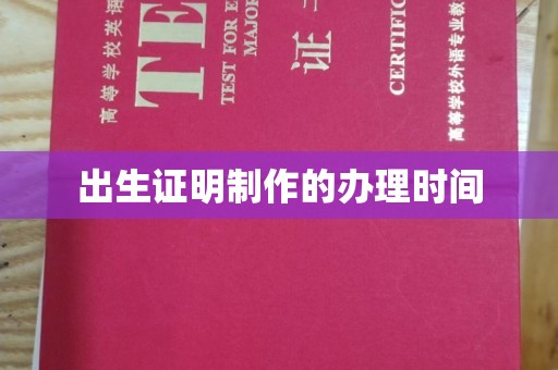 白沙出生证明制作的办理时间