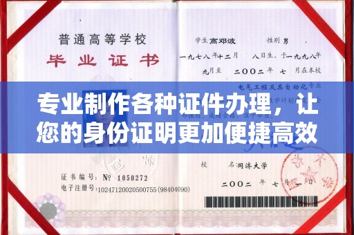 白沙专业制作各种证件办理，让您的身份证明更加便捷高效