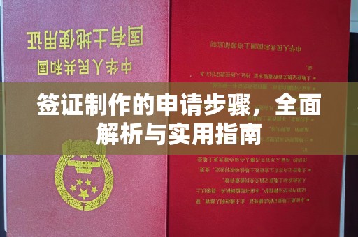 白沙签证制作的申请步骤，全面解析与实用指南