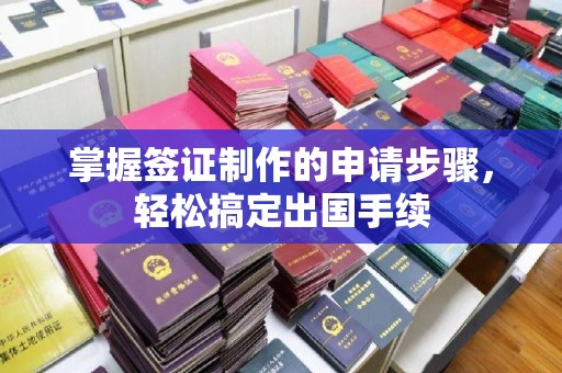 白沙掌握签证制作的申请步骤，轻松搞定出国手续