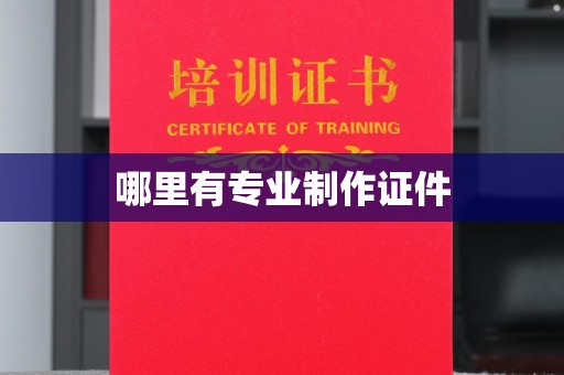 白沙哪里有专业制作证件