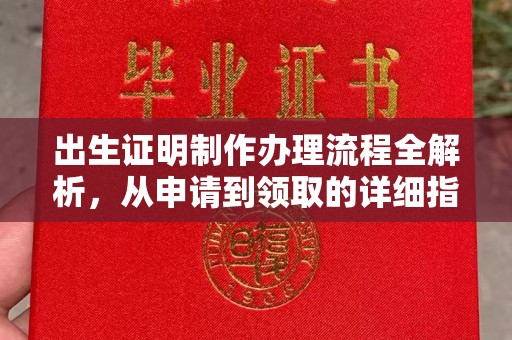 白沙出生证明制作办理流程全解析，从申请到领取的详细指南