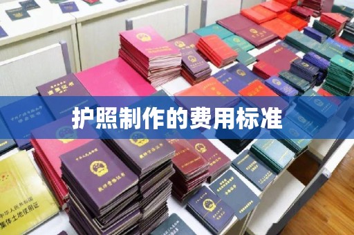 白沙护照制作的费用标准