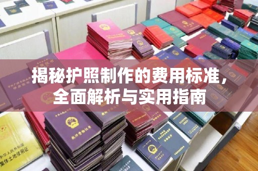 白沙揭秘护照制作的费用标准，全面解析与实用指南